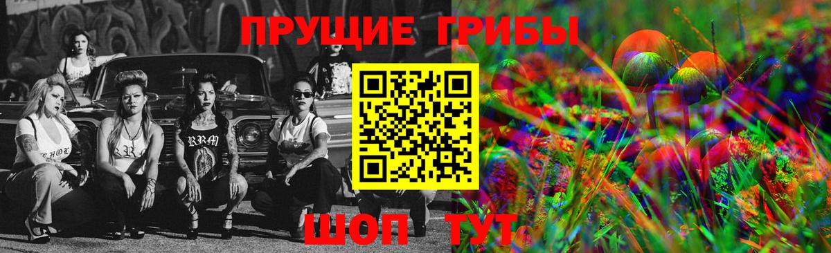 Псилоцибиновые грибы Cubensis Тобольск