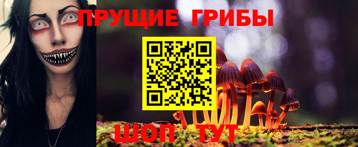 Галлюциногенные грибы прущие грибы  Вход с VPN  Тобольск 